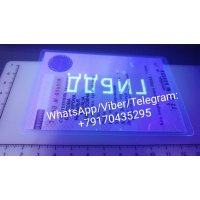 Купить документы на авто,  СТС,  ПТС,  дубликат водительского удостоверения