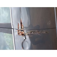 Продам а/м Chevrolet Epica битый
