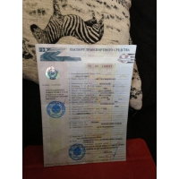 Продам ПТС  для Nissan Wingroad